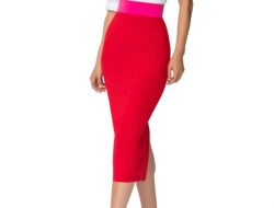 Red High Waisted Pencil Skirt Outfits